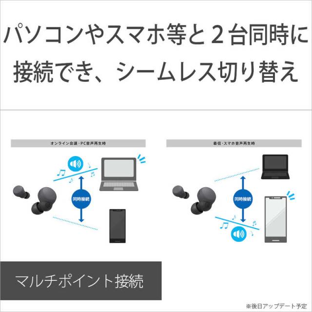 ソニー　SONY　フルワイヤレスイヤホン WF-LS900N LinkBuds S ブラック [ ワイヤレス ( 左右分離 ) / ノイズキャンセリング 対応 / Bluetooth 対応 ] 　