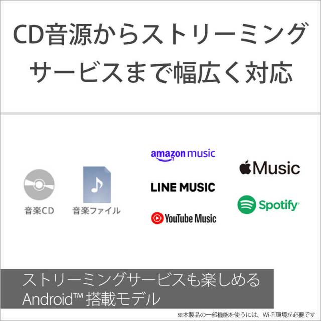 ソニー　SONY　ウォークマン WALKMAN Aシリーズ ブラック[32GB/2023年モデル]　NW-A306 BC_10