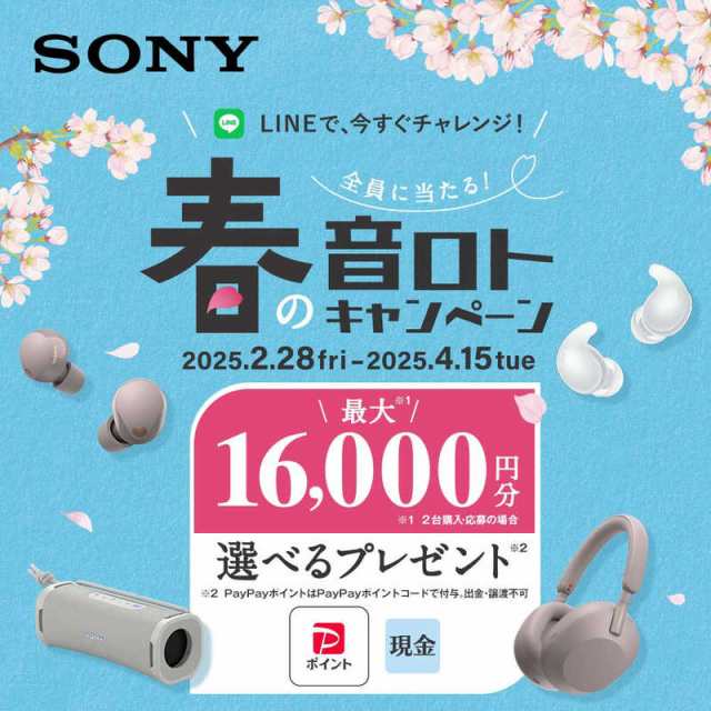 ソニー　SONY　ウォークマン WALKMAN Aシリーズ グレー[32GB/2023年モデル]　NW-A306 HC｜au PAY マーケット