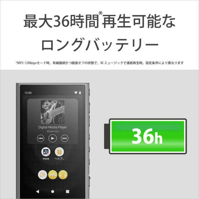 ソニー　SONY　ウォークマン WALKMAN Aシリーズ グレー[64GB/2023年モデル]　NW-A307 HC_6