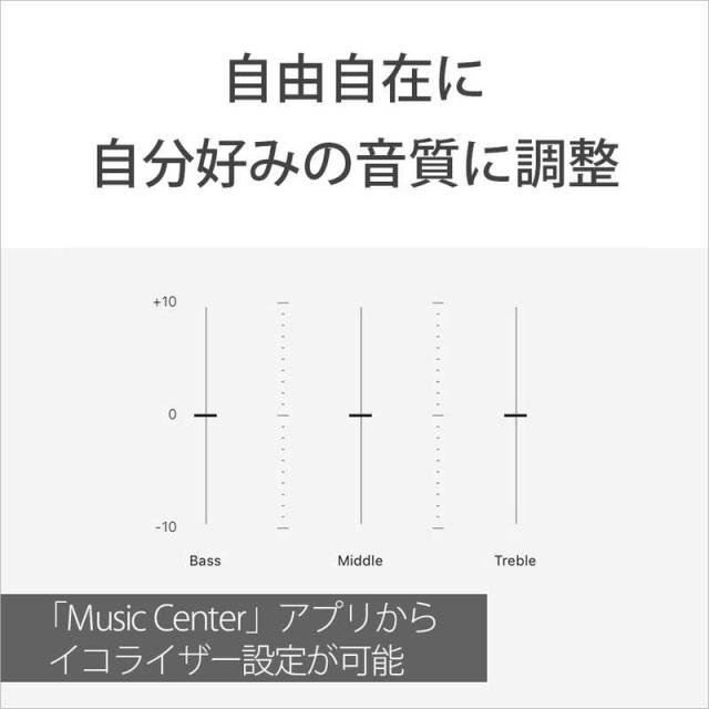 ソニー　SONY　Bluetoothスピーカー ［防滴 /Bluetooth対応］　SRS-XV500BC_11