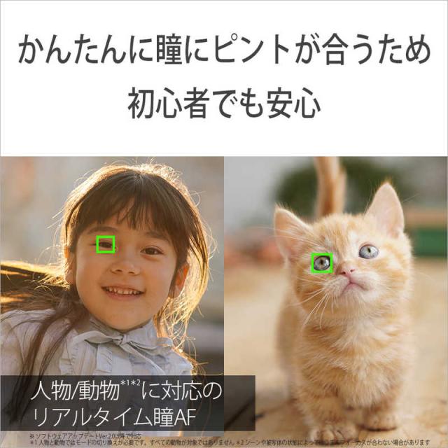 93368494_7