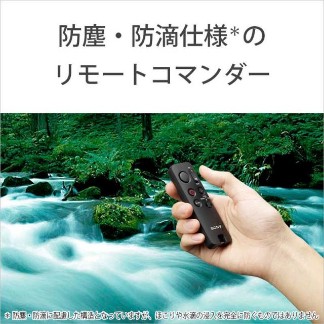 ソニー　SONY　リモートコマンダー ブラック　RMT-VP2_8