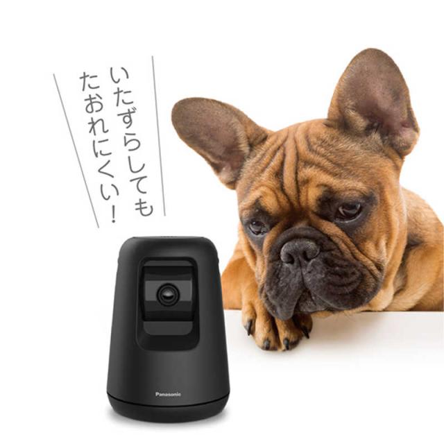 パナソニック　Panasonic　ホームネットワークシステム HDペットカメラ ブラック　KX-HDN215-K_11