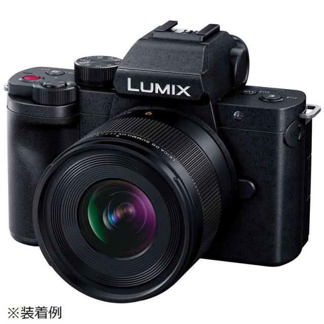 パナソニック Panasonic カメラレンズ 一眼レフ用 交換レンズ LEICA DG