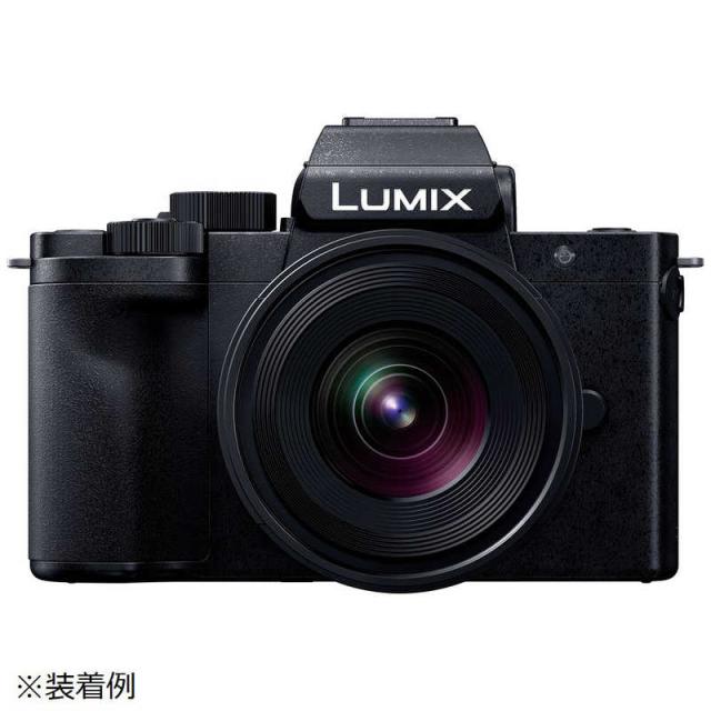 パナソニック Panasonic カメラレンズ 一眼レフ用 交換レンズ LEICA DG