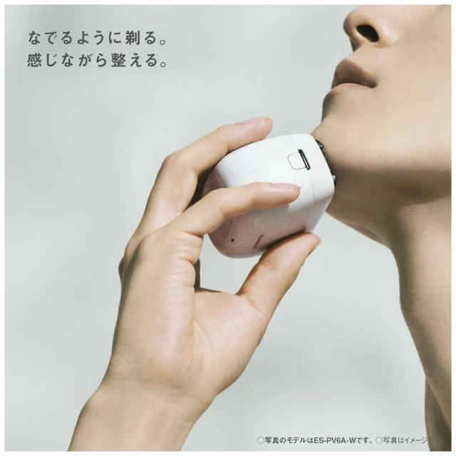 パナソニック Panasonic 電気シェーバー ラムダッシュ パームイン