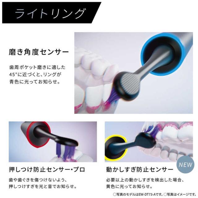 パナソニック Panasonic 電動歯ブラシ Doltz ドルツ [ 振動式 / AC100V