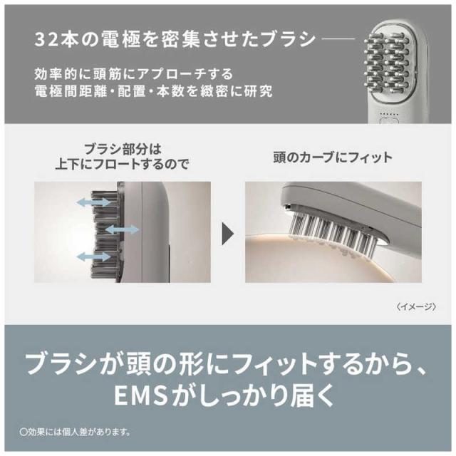 パナソニック Panasonic リフトケア美顔器 バイタリフト ブラシ
