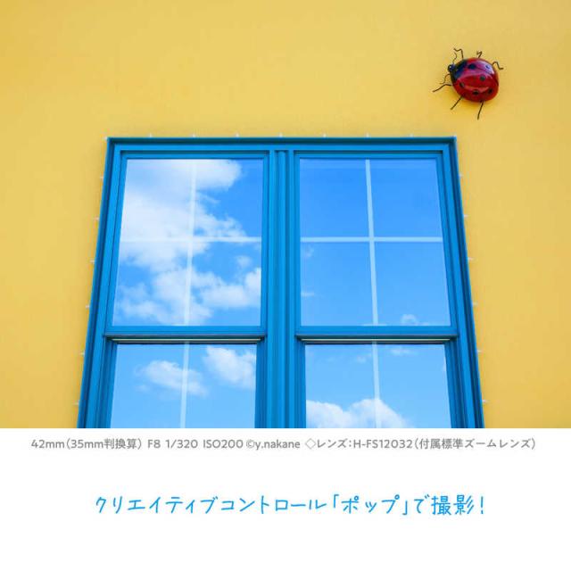 パナソニック　Panasonic　LUMIX G100D Wキット ミラーレス一眼カメラ ブラック [ ズームレンズ + ズームレンズ ]　LUMIX DC-G100DW ダブルズームレンズキット_8