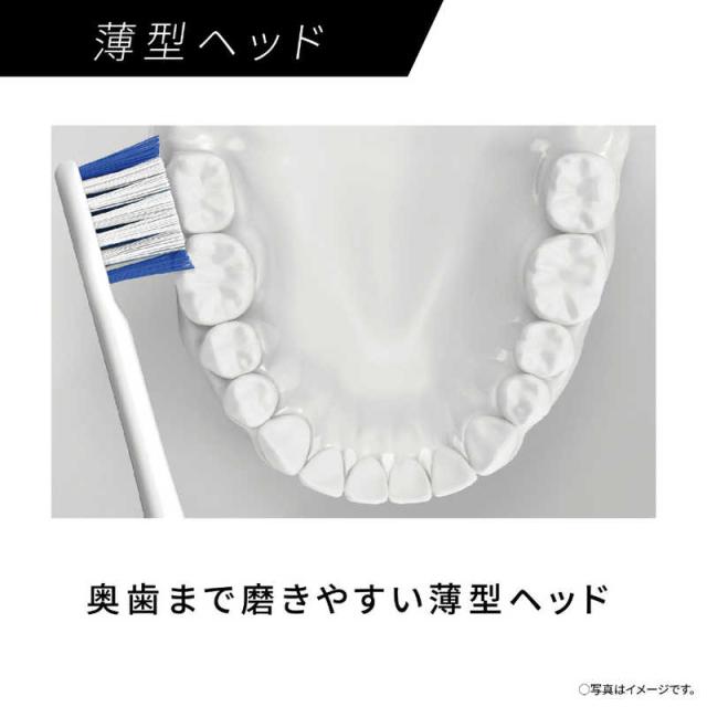 パナソニック Panasonic 電動歯ブラシ Doltz ドルツ [ 音波振動式