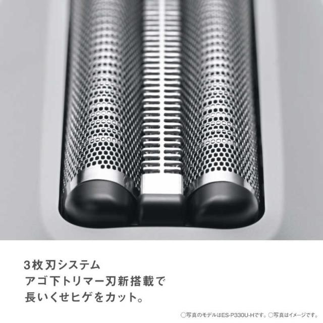 パナソニック ラムダッシュ パームインシェーバー LITE 3枚刃 ミストグレー Amazon.co.jp: パナソニック ラムダッシュ パームインシェーバー