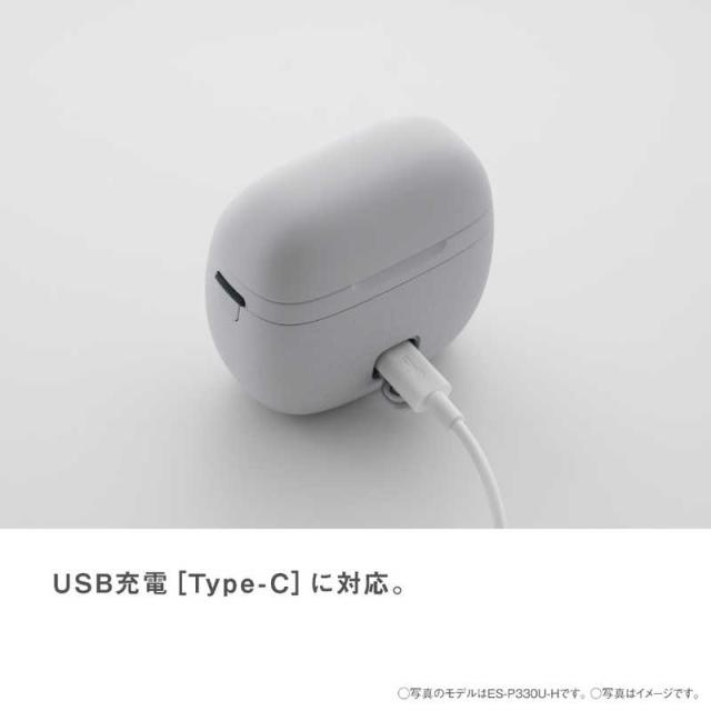 パナソニック Panasonic メンズシェーバー ラムダッシュ パームイン