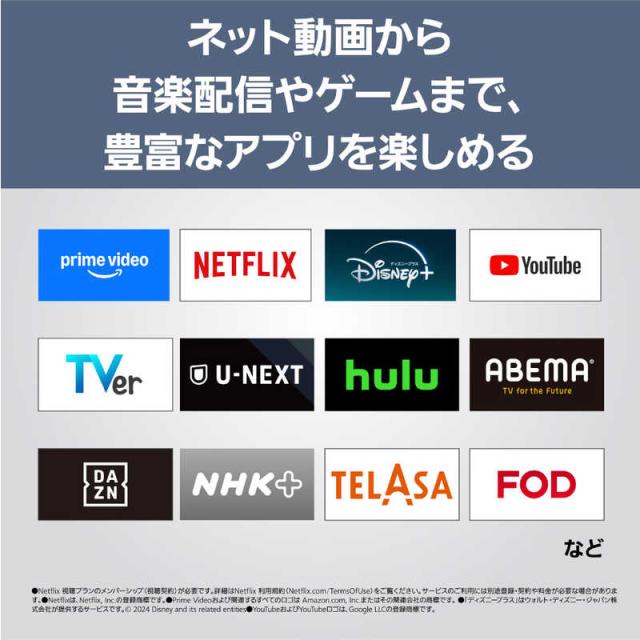 パナソニック　Panasonic　液晶テレビ VIERA ビエラ [ 43V型 / 4K対応 / 4Kチューナー内蔵 / YouTube 対応 ]　TH-43LF2L-H（標準設置無料）_11