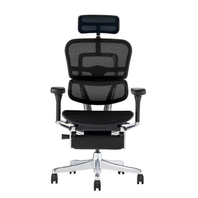 関家具　エルゴヒューマン Ergohuman 新基盤モデル エルゴヒューマン2 プロオットマン ブラックフレーム EHP2-LPL-DR-BF-BK ブラック　445396