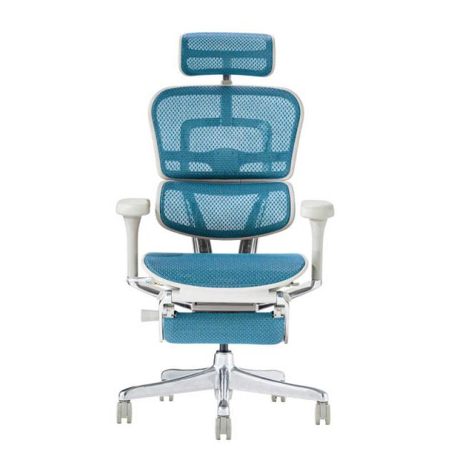 関家具　エルゴヒューマン Ergohuman 新基盤モデル エルゴヒューマン2 プロオットマン グレーフレーム EHP2-LPL-DR-GF-BL ブルー　445404