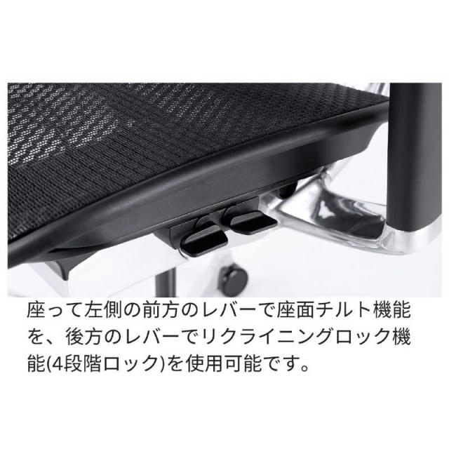 エルゴヒューマン　エルゴヒューマン Ergohuman 新基盤モデル エルゴヒューマン2 プロハイタイプ グレーフレーム EHP2-HAM-DR-GF-BK ブラック　445411_4