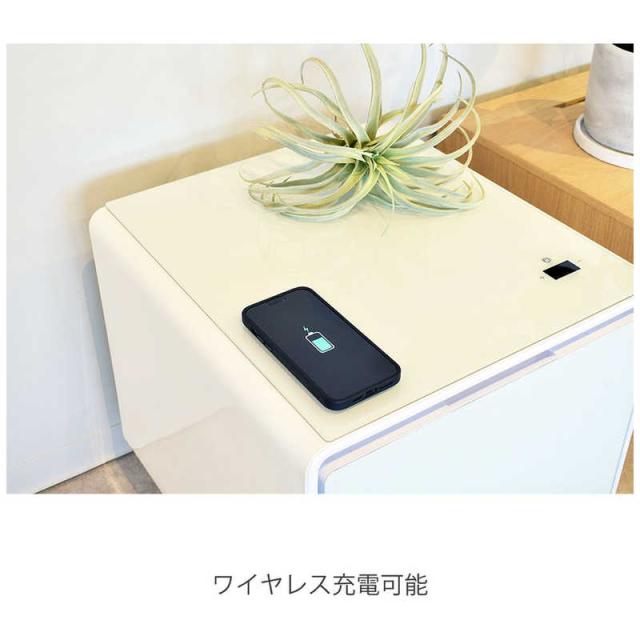 ロイヤル　スマートテーブル SMART TABLE 冷蔵庫機能付き　SAPPHIRE by LOOZER APRICOT　STB30（標準設置無料）_1