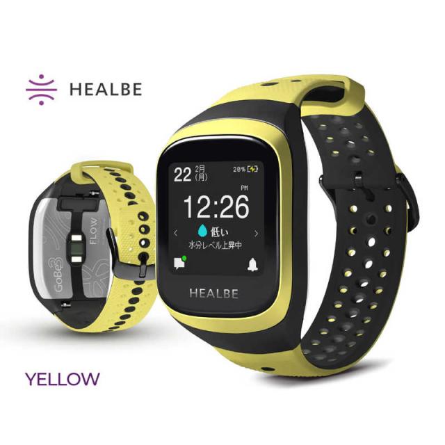 HEALBE スマートウォッチ HEALBE GoBe3(ヒールビーゴービー3