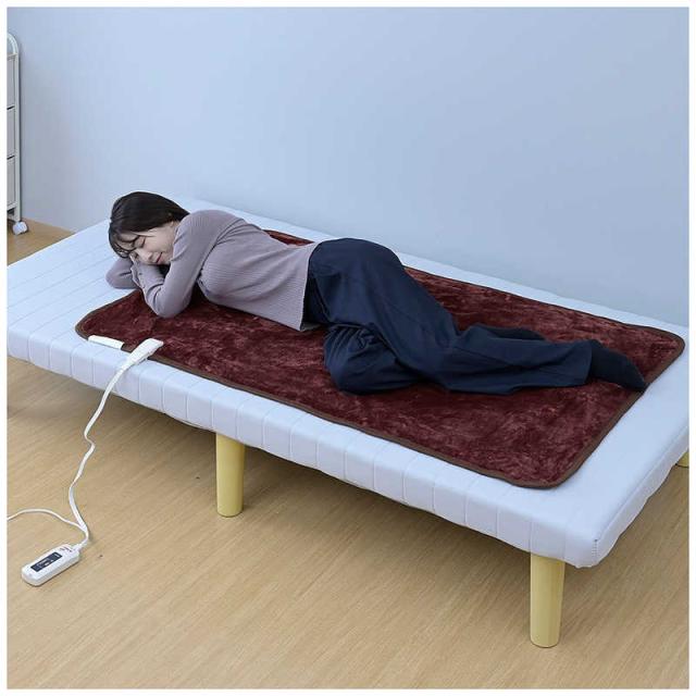 山善] 電気敷毛布 ホカロン 140×80cm 丸洗い可能 ダニ退治機能 商品情報_