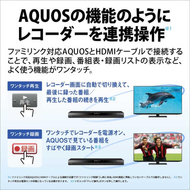 シャープ　SHARP　ブルーレイレコーダー AQUOS(アクオス) ［1TB /2番組同時録画］　2B-C10GW1