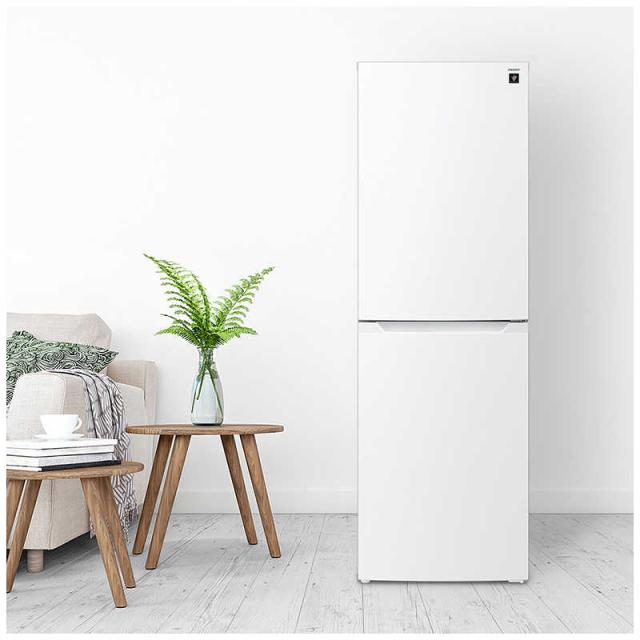 1155 設置まで対応　SHARPプラズマクラスター　2ドア冷蔵庫　23年製 1155 設置まで対応SHARPプラズマクラスター2ドア冷蔵庫23年製