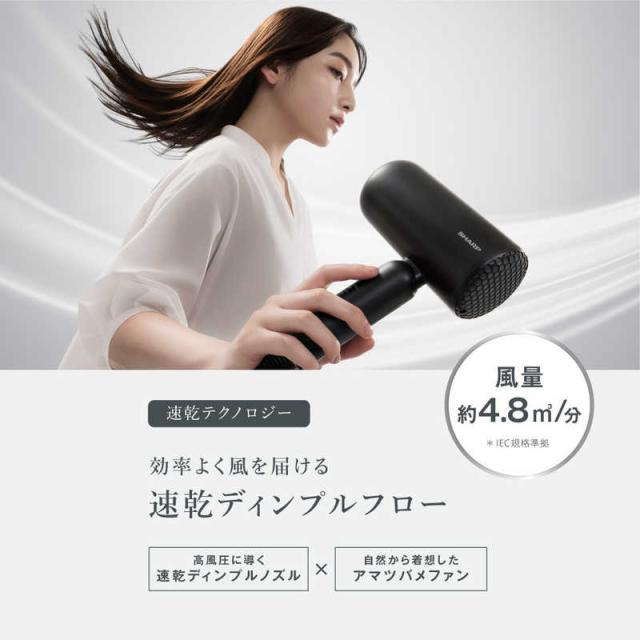 シャープ SHARP ディンプルフロードライヤー アッシュブラック IB-P300