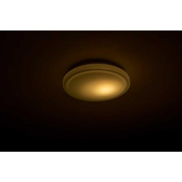 ドウシシャ LED照明 シーリングライト 6畳 昼白色 Luminous LED