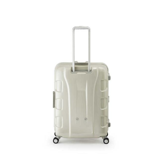 きchanアクリルキャリーケースバードキャリー きchan様専用アクリル