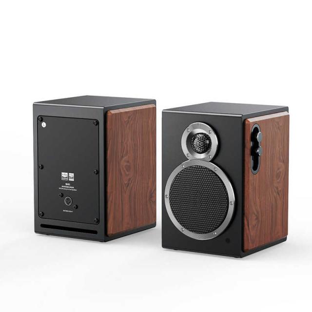 FIIO　SA1 ［ハイレゾ対応 / 2本］ Black　FIO-SA1-B_1