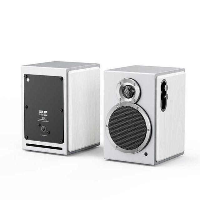 FIIO　SA1 ［ハイレゾ対応 / 2本］ White　FIO-SA1-W_1