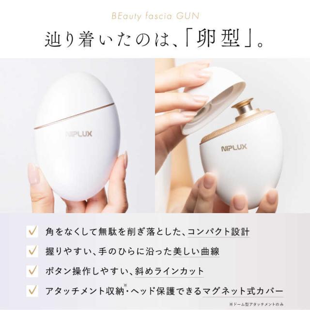 日創プラス NIPLUX ニップラックス BEGUN ビガン 美顔 ブラック NP