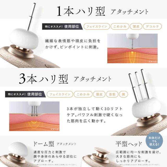 日創プラス NIPLUX ニップラックス BEGUN ビガン 美顔 ブラック NP