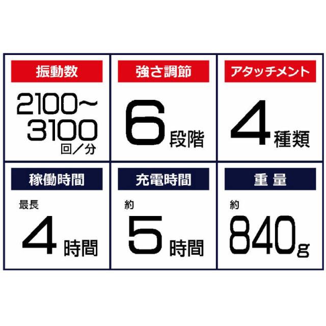 BODYPIXEL　ボディピクセル マッスルガンSE 標準セット BP-J-501　_1
