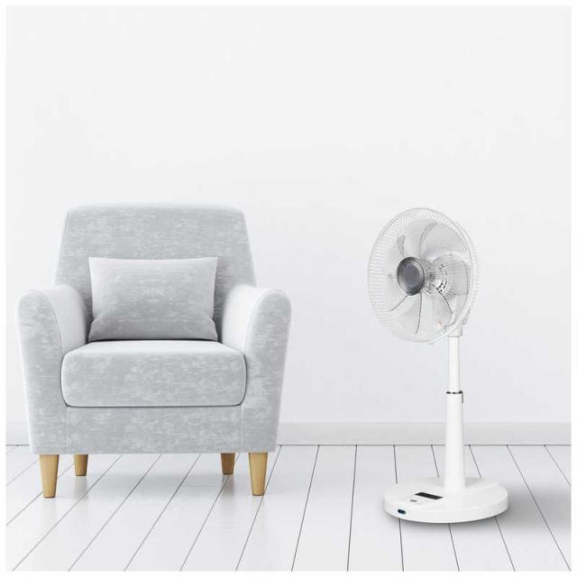 シィーネット 3D扇風機 DCモーター搭載 (省エネタイプ) 自動首振り機能 