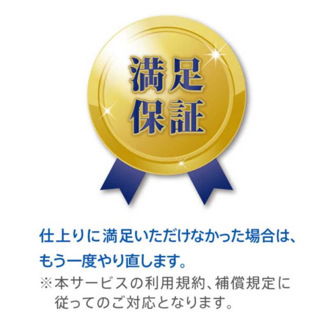カジタク　追加のお掃除オプションパック オプション9000 ※単品ではご利用いただけません。必ずメインのお掃除パックと一緒にご購入ください。　オソウジオプション9000_5