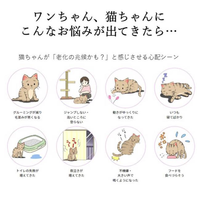 アレス　コロバニィ ペタプラス 犬猫用腹巻き HARAMAKI グレー M 本体胴囲34cm 内容量本体二重1枚_7