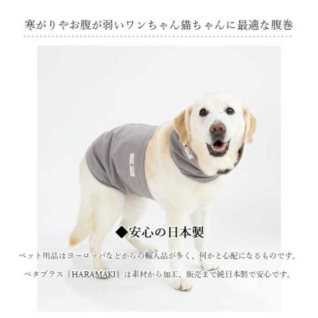 アレス　コロバニィ ペタプラス 犬猫用腹巻き HARAMAKI グレー M 本体胴囲34cm 内容量本体二重1枚_14