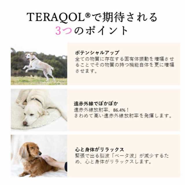 アレス　コロバニィ ペタプラス 犬猫用腹巻き HARAMAKI レッド XS 本体胴囲24cm 内容量本体二重1枚　60263XSの通販は