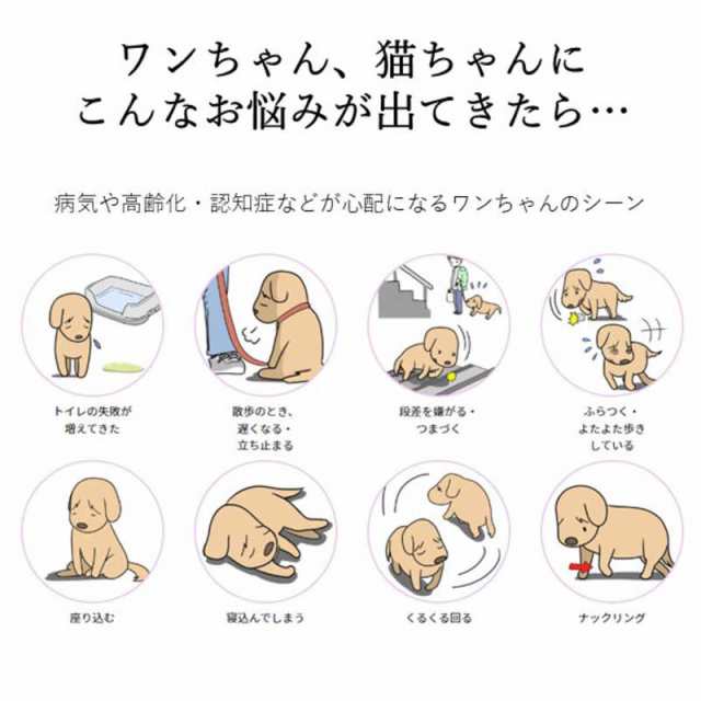 アレス　コロバニィ ペタプラス 犬猫用腹巻き HARAMAKI レッド XS 本体胴囲24cm 内容量本体二重1枚　60263XSの通販は