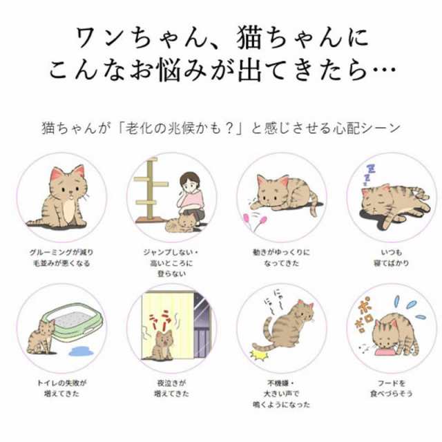アレス　コロバニィ ペタプラス 犬猫用腹巻き HARAMAKI レッド XS 本体胴囲24cm 内容量本体二重1枚　60263XSの通販は