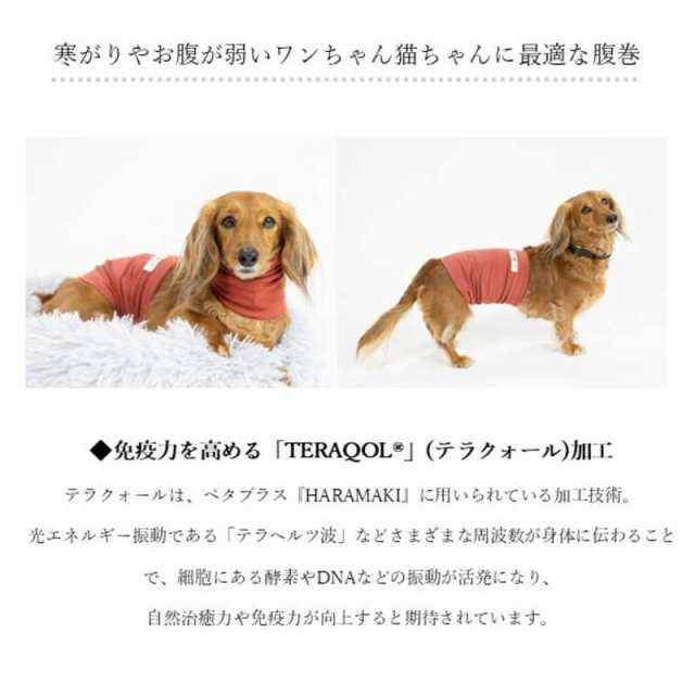 アレス　コロバニィ ペタプラス 犬猫用腹巻き HARAMAKI レッド XS 本体胴囲24cm 内容量本体二重1枚　60263XSの通販は