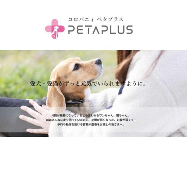 アレス　コロバニィ ペタプラス 犬猫用腹巻き HARAMAKI レッド L 本体胴囲38cm 内容量本体二重1枚_2