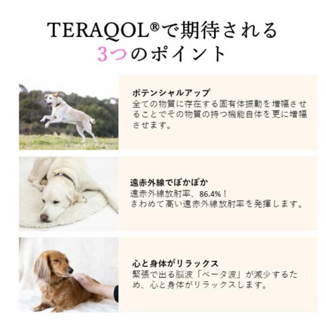 アレス　コロバニィ ペタプラス 犬猫用腹巻き HARAMAKI レッド L 本体胴囲38cm 内容量本体二重1枚_5
