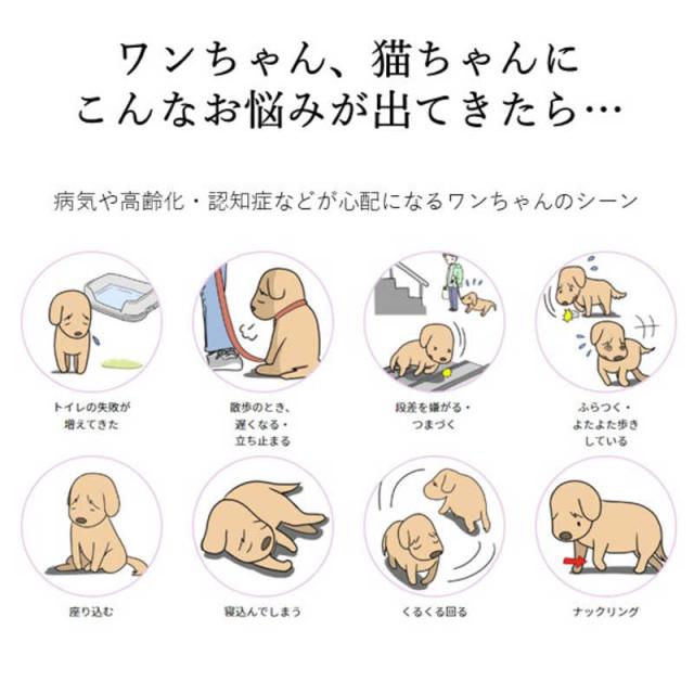アレス　コロバニィ ペタプラス 犬猫用腹巻き HARAMAKI レッド L 本体胴囲38cm 内容量本体二重1枚_6