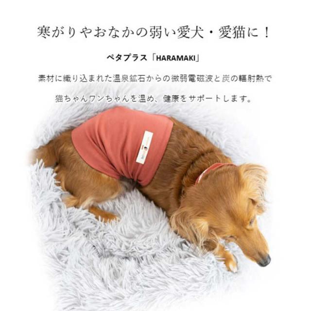 アレス　コロバニィ ペタプラス 犬猫用腹巻き HARAMAKI レッド L 本体胴囲38cm 内容量本体二重1枚_8