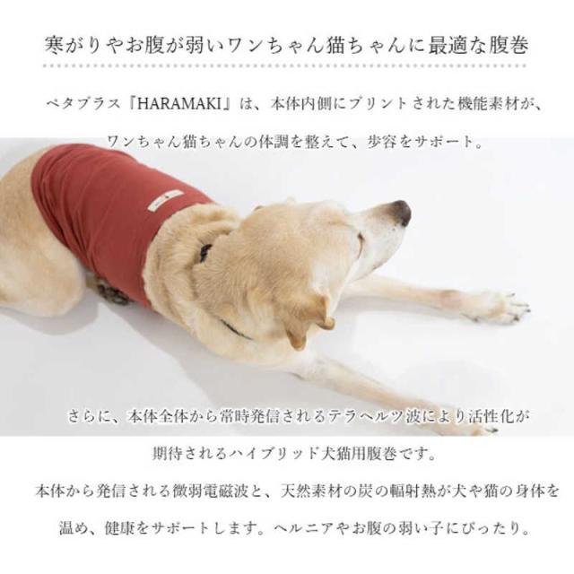 アレス　コロバニィ ペタプラス 犬猫用腹巻き HARAMAKI レッド L 本体胴囲38cm 内容量本体二重1枚_9
