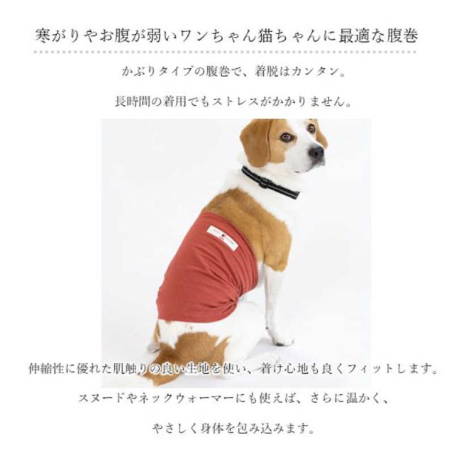 アレス　コロバニィ ペタプラス 犬猫用腹巻き HARAMAKI レッド L 本体胴囲38cm 内容量本体二重1枚_10