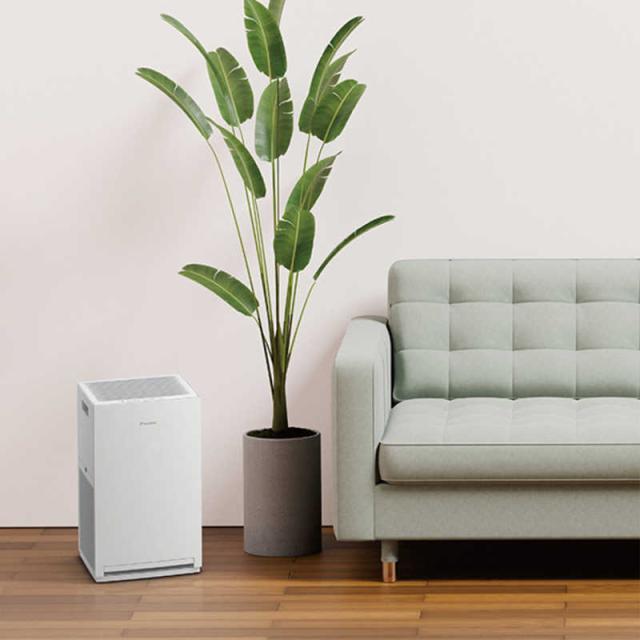 ダイキン DAIKIN 空気清浄機 ストリーマ 空気清浄〜25畳目安 PM2.5対応