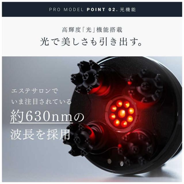MYTREX 電気針 EMS ヘッドスパ プロ マイトレックス MT-EHP22Bの